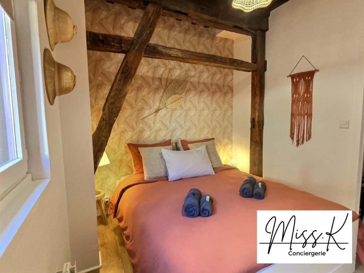 "La Fenetre Sur Le Marche" De Miss.K Conciergerie Apartment Chatillon-sur-Chalaronne Exterior photo